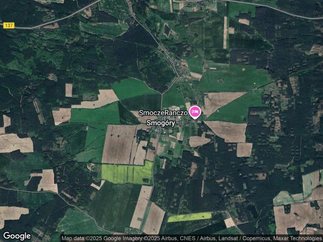 Lokal Smogóry. Zdjęcie 1