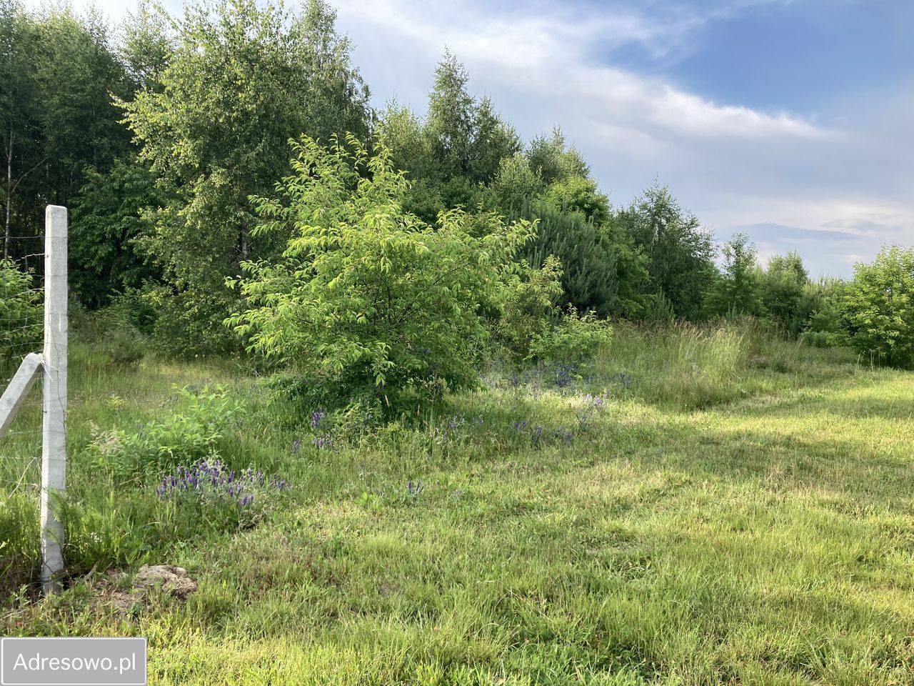 Działka budowlana Dziektarzew. Zdjęcie 6