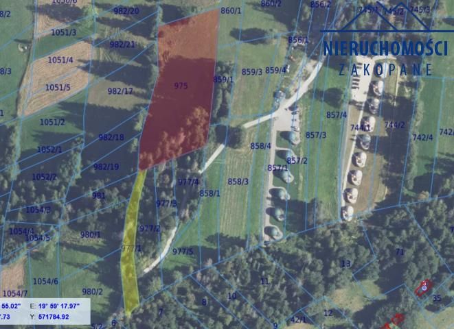 Działka rolna Suche. Zdjęcie 3