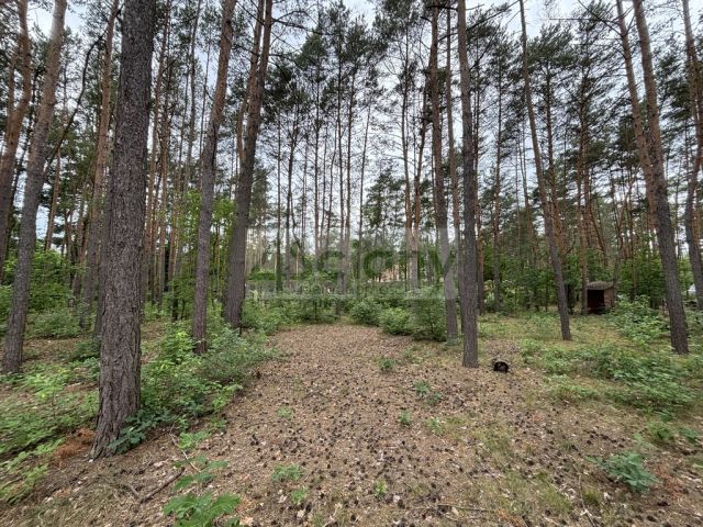 Działka budowlana Stare Załubice. Zdjęcie 1