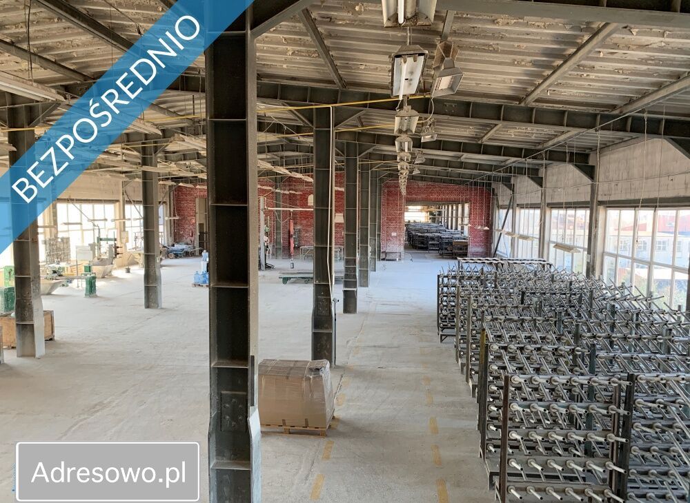 Hala/magazyn Ciechów. Zdjęcie 6