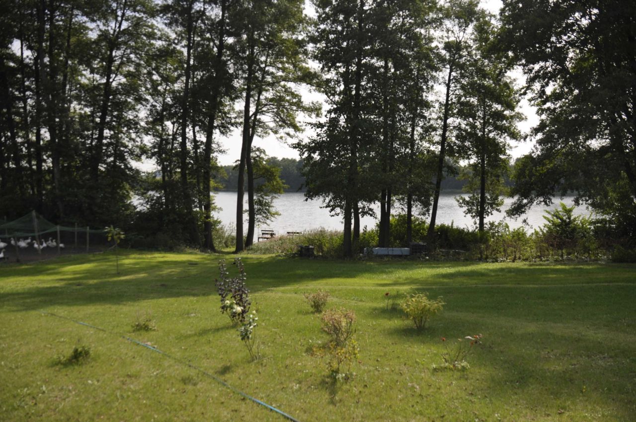 dom wolnostojący Wołogoszcz. Zdjęcie 3