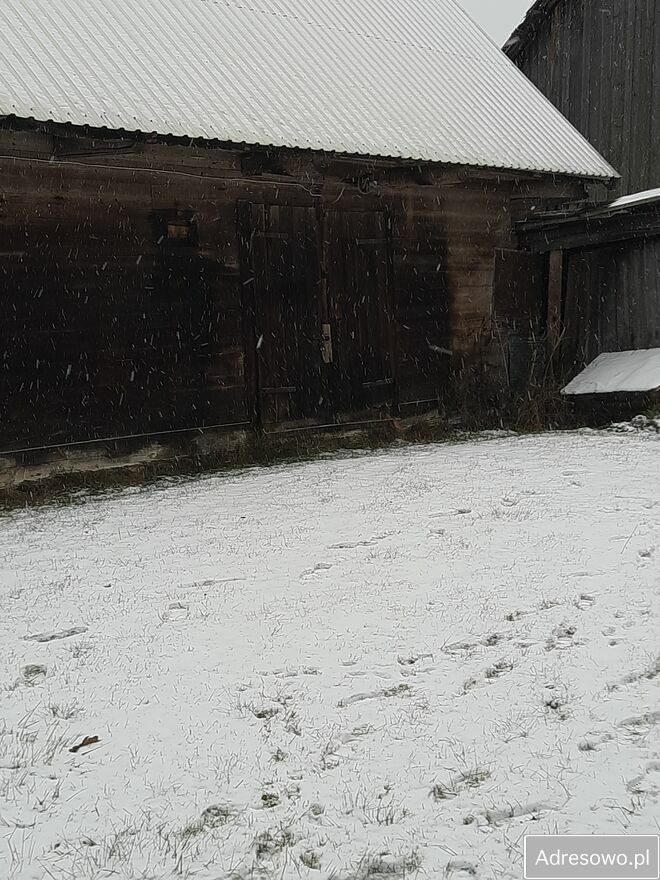 siedlisko, 3 pokoje Białowieża, ul. Polna. Zdjęcie 7