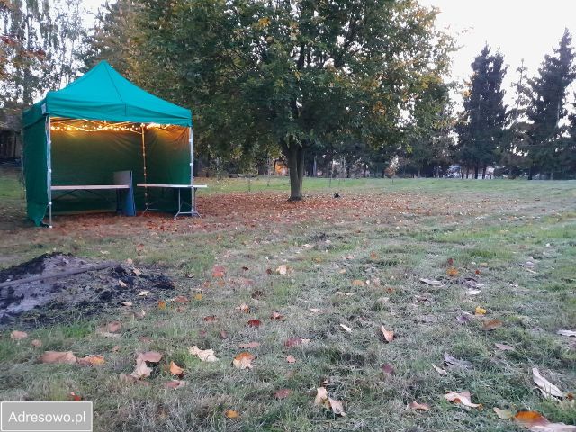 Działka siedliskowa Świątniki. Zdjęcie 1