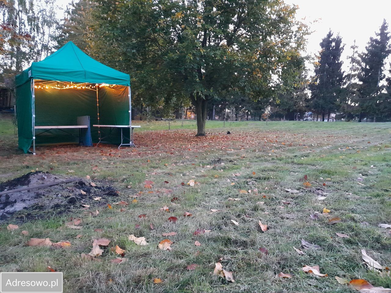 Działka siedliskowa Świątniki