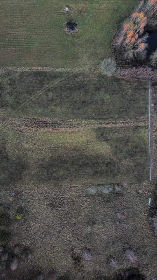 Działka siedliskowa Olszanka, ul. Agrestowa. Zdjęcie 2