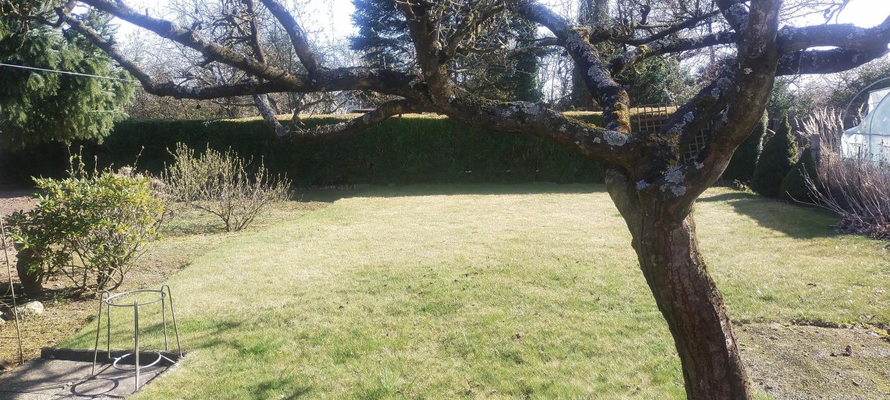 Działka rod Szczecin Warszewo, ul. Fryderyka Chopina. Zdjęcie 10