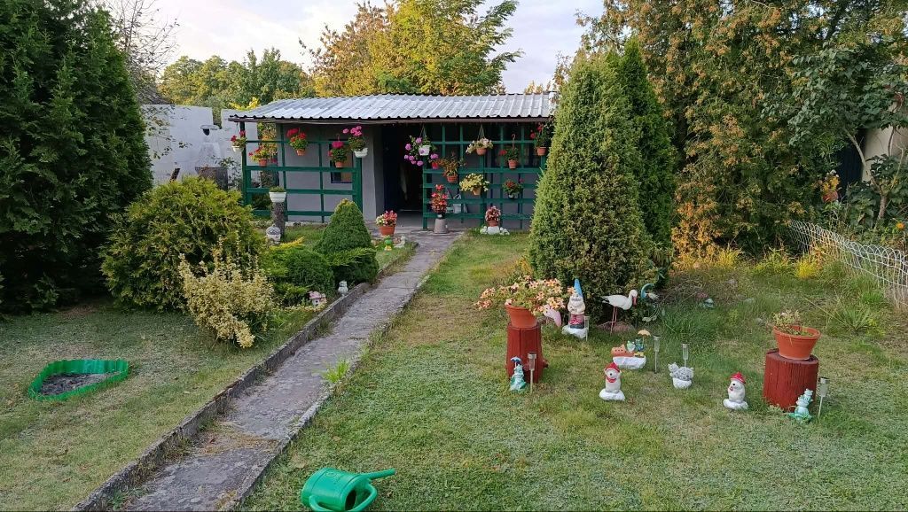 Działka rod Toruń Stawki. Zdjęcie 2