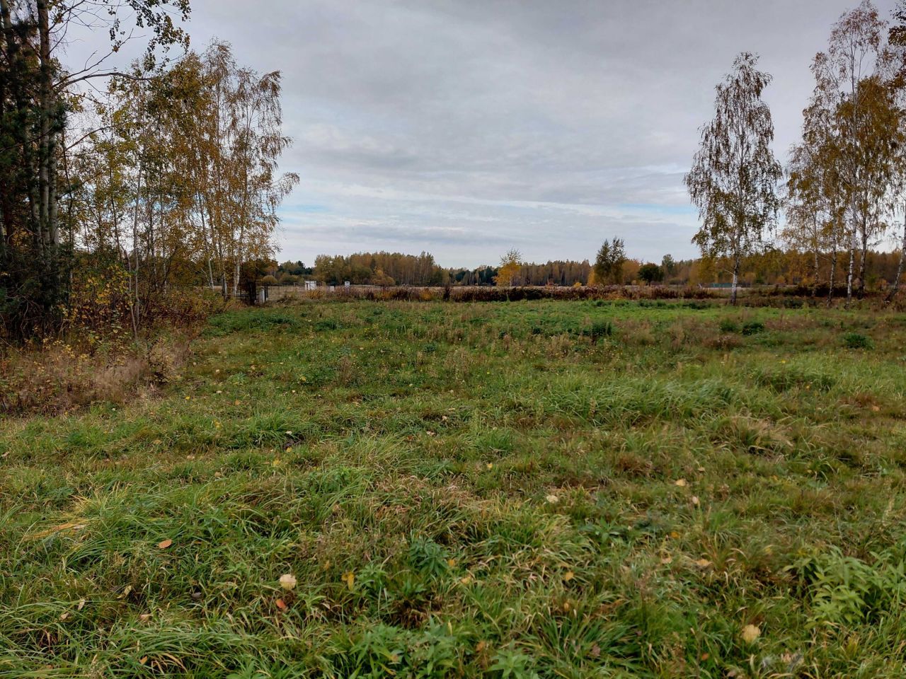 Działka budowlana Bednary. Zdjęcie 2