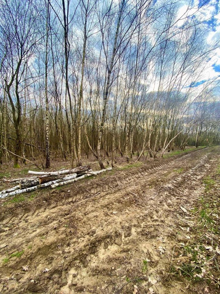 Działka rolna Pstrągówka. Zdjęcie 2