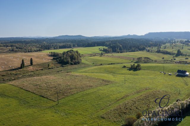 Działka rolna Michniowiec. Zdjęcie 2