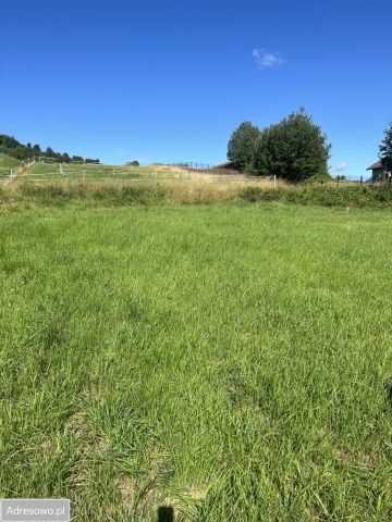 Działka budowlana Radziechowy, ul. Wajdowa. Zdjęcie 1