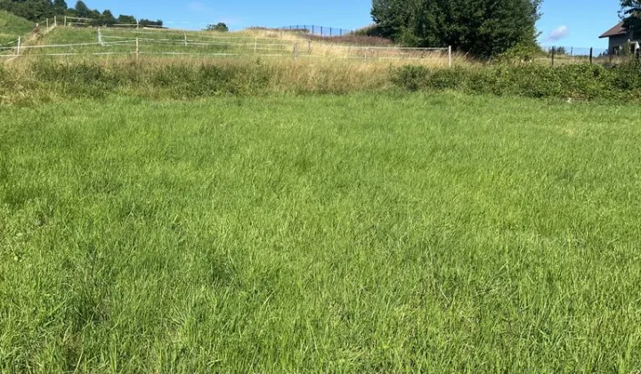 Działka budowlana Radziechowy, ul. Wajdowa