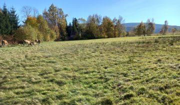 Działka budowlana Pobiedna, ul. Sąsiedzka