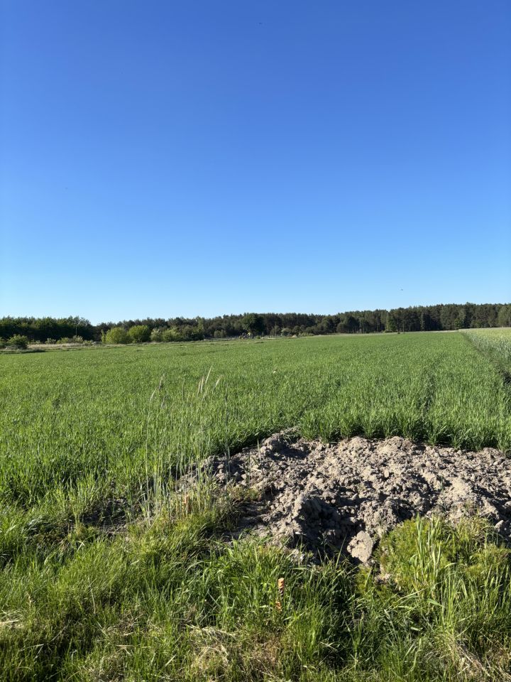Działka budowlana Karolinów, ul. Główna. Zdjęcie 3