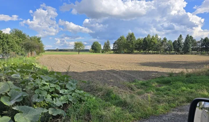 Działka inwestycyjna Łowoszów, ul. Słoneczna