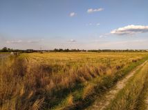 Działka budowlana Suszno Suszno-Kolonia, ul. Brzoskwiniowa