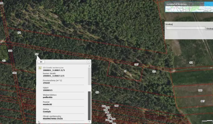 Działka leśna Kramkówka Duża