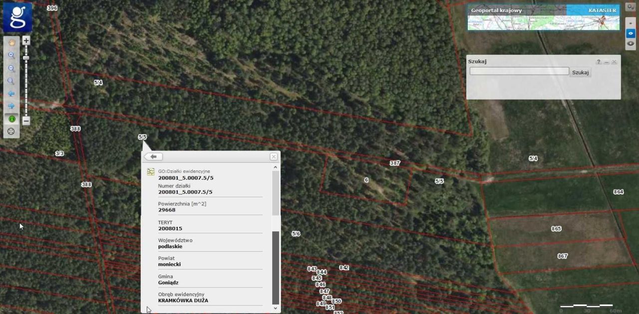 Działka leśna Kramkówka Duża