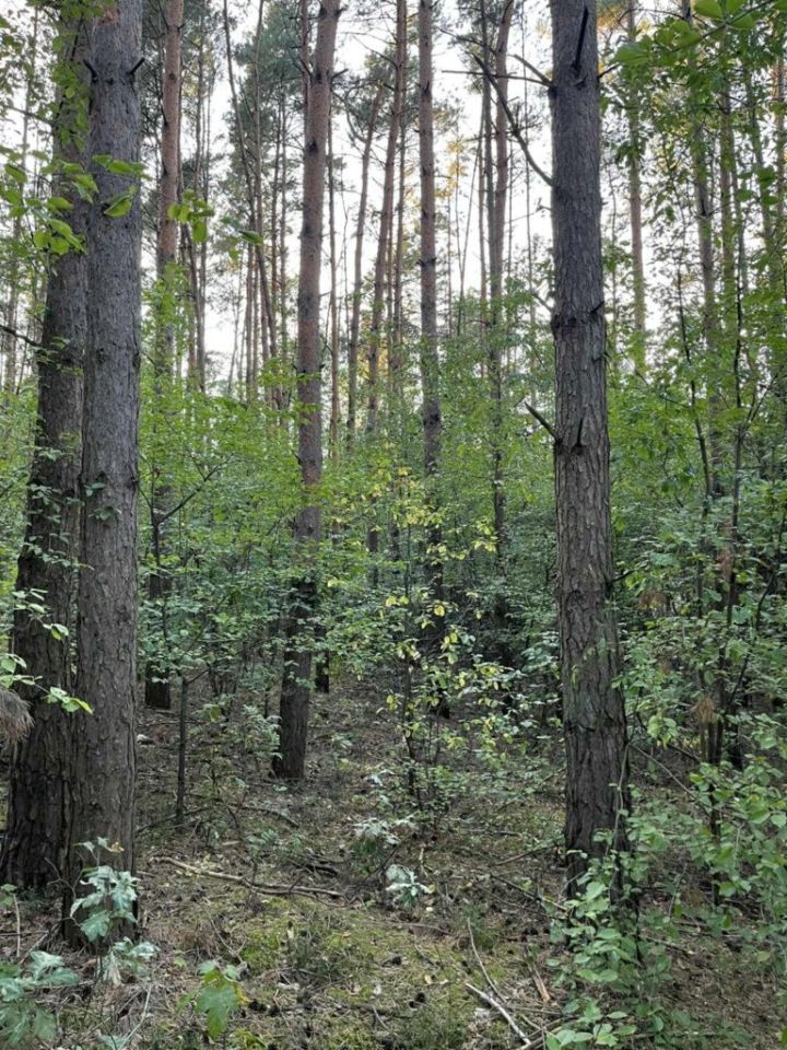 Działka Stanowo. Zdjęcie 5