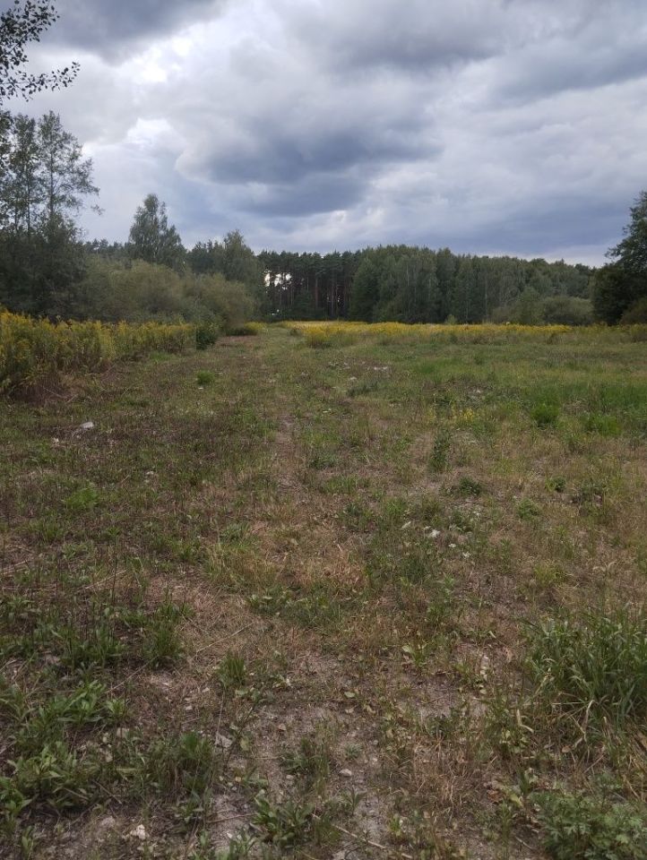 Działka budowlana Okuniew. Zdjęcie 4