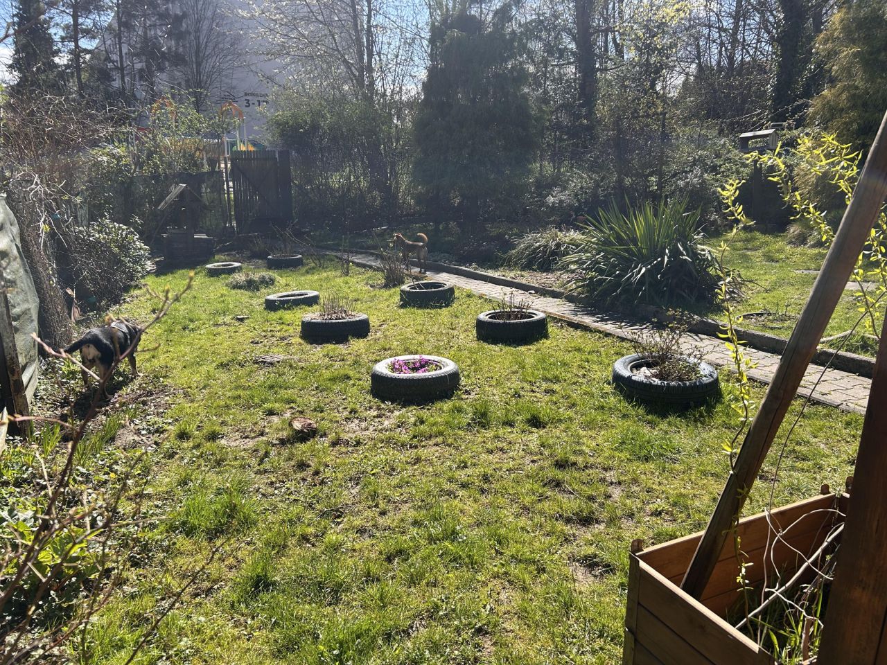 Mieszkanie 3-pokojowe Jastrzębie-Zdrój, ul. Beskidzka. Zdjęcie 13