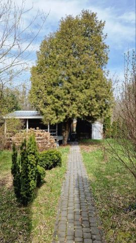 Działka rod Łódź Bałuty, ul. Telefoniczna. Zdjęcie 1