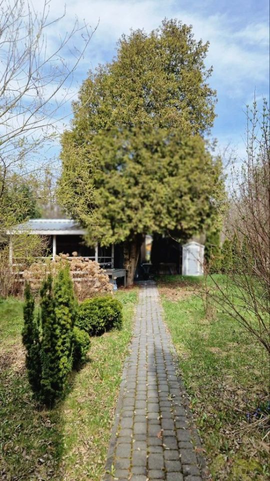 Działka rod Łódź Bałuty, ul. Telefoniczna. Zdjęcie 1