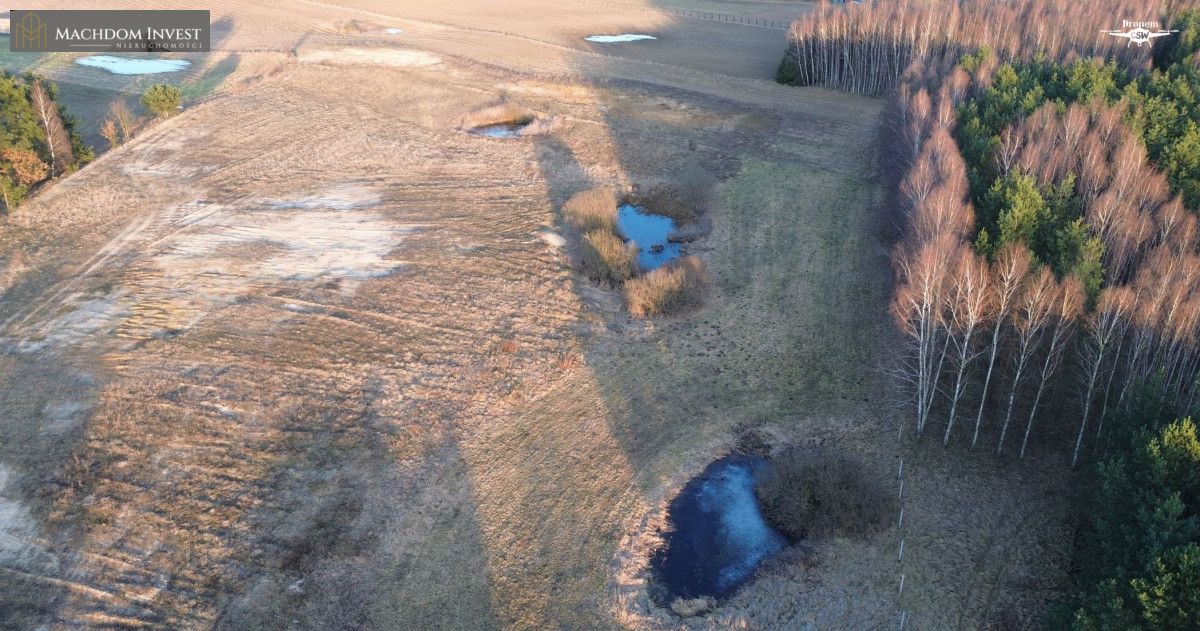 Działka inwestycyjna Laskowice. Zdjęcie 8