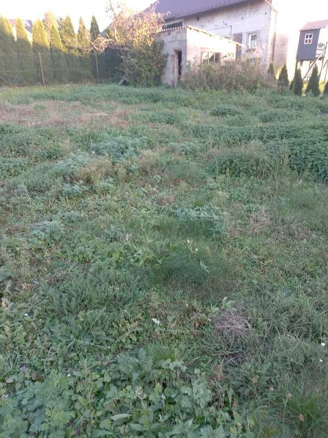 Działka siedliskowa Pątnów. Zdjęcie 2