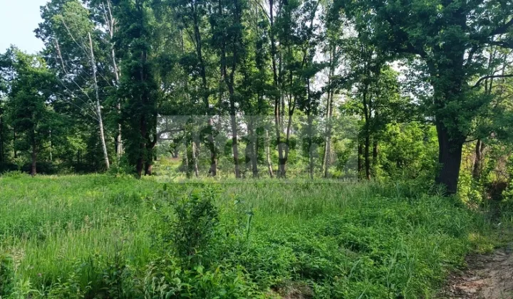 Działka budowlana Grodzisk Mazowiecki