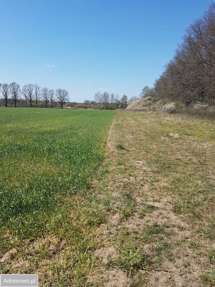 Działka rolna Raszówka, ul. Wincentego Witosa. Zdjęcie 3