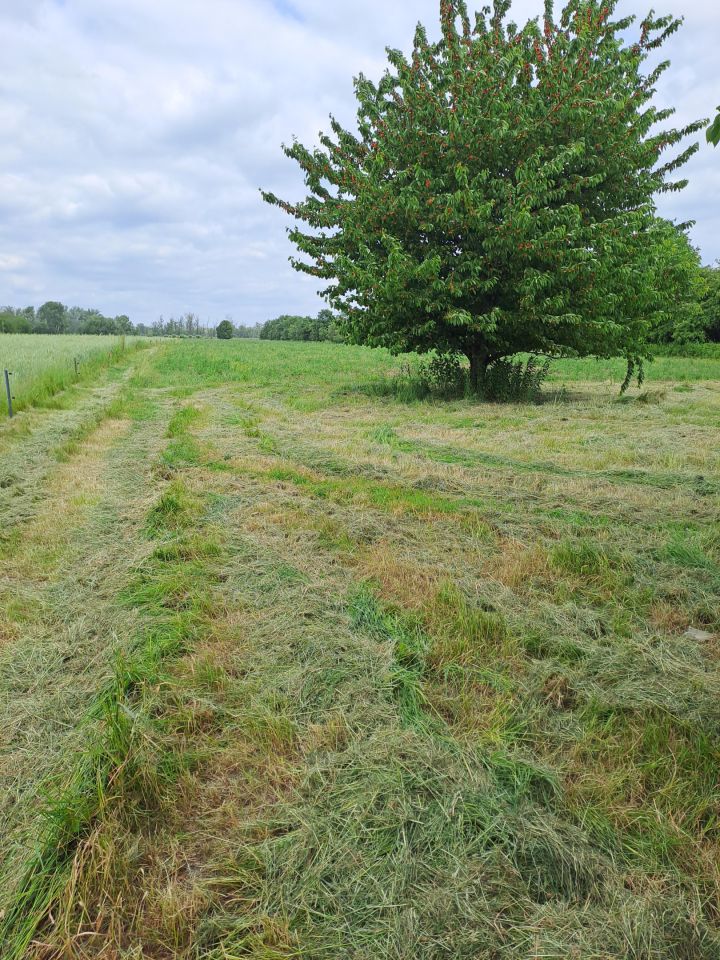 Działka siedliskowa Podłęcze. Zdjęcie 11