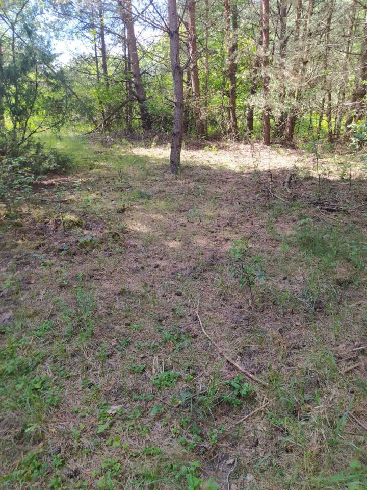 Działka budowlana Janopol. Zdjęcie 7