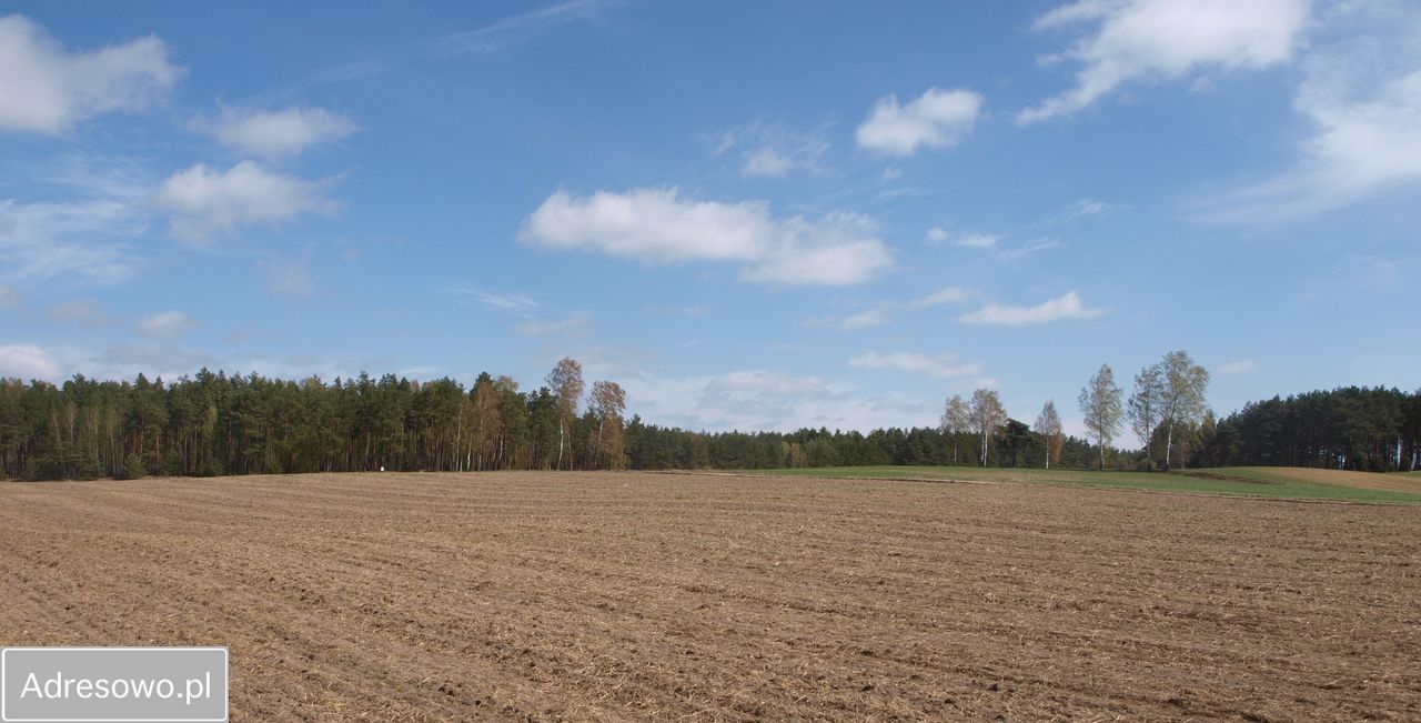 Działka rekreacyjna Lipy. Zdjęcie 7