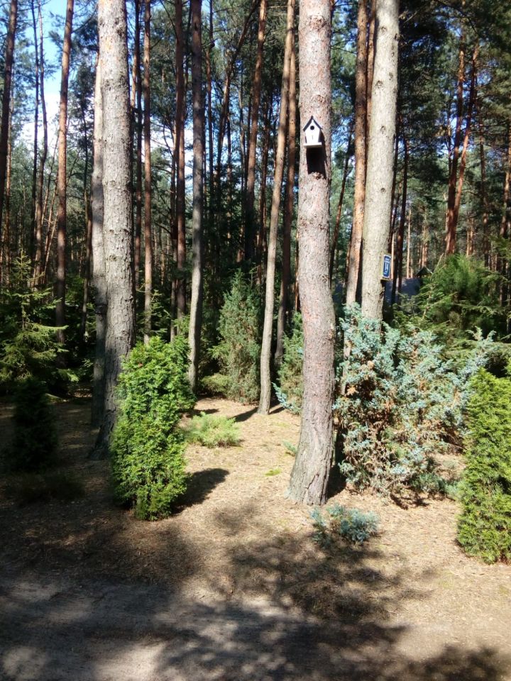 Działka inna Kolonia Karczmy, ul. Świerkowa. Zdjęcie 15