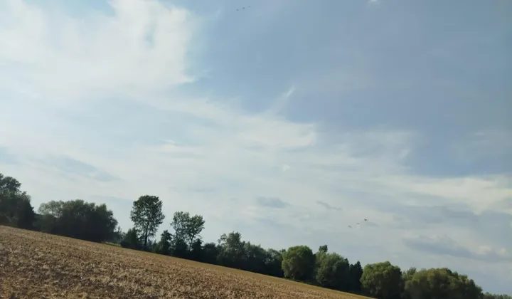 Działka rolna Budziska, .