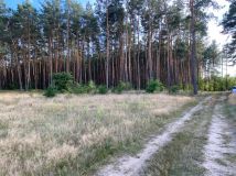 Działka budowlana Zamość. Zdjęcie 4