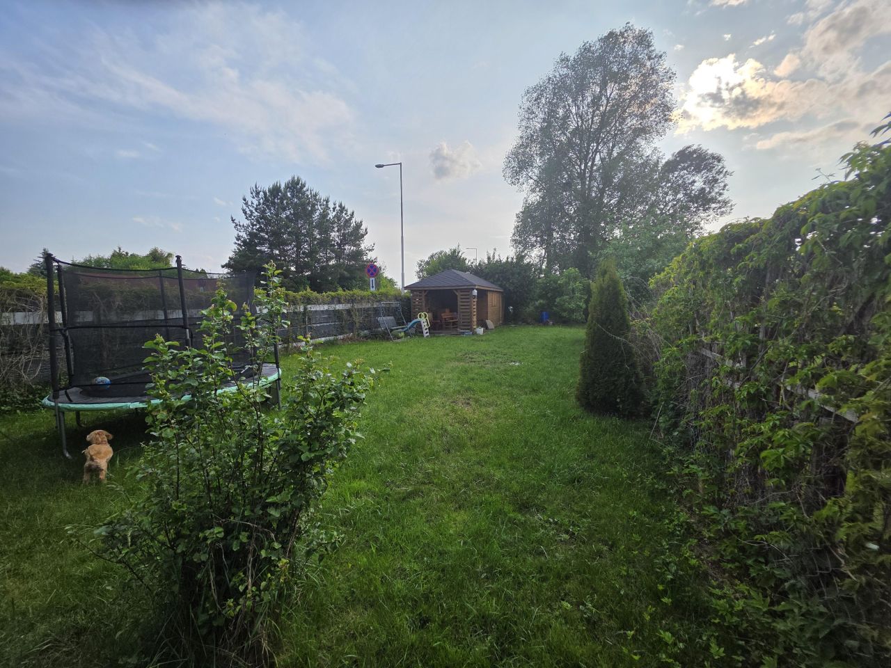 Działka rod Nidzica, ul. Józefa Ignacego Kraszewskiego. Zdjęcie 11