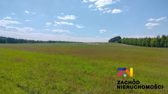 Działka rolna Zabór. Zdjęcie 1