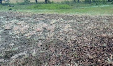 Działka budowlana Krusze, ul. Borowikowa