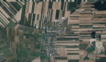 Działka rolna Niechłonin