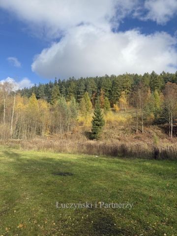 Mieszkanie 4-pokojowe Boguszów-Gorce Chełmiec. Zdjęcie 12