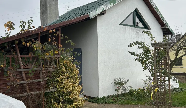 Działka rod Nysa Zamłynie, ul. Adama Mickiewicza