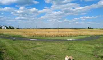 siedlisko Taszewskie Pole