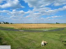 siedlisko Taszewskie Pole. Zdjęcie 1