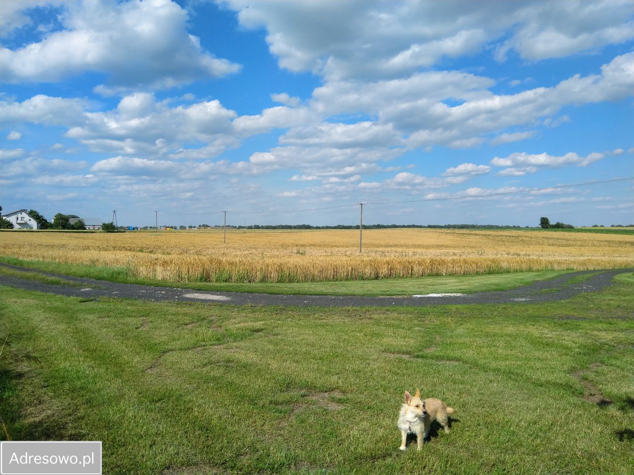 siedlisko Taszewskie Pole. Zdjęcie 2