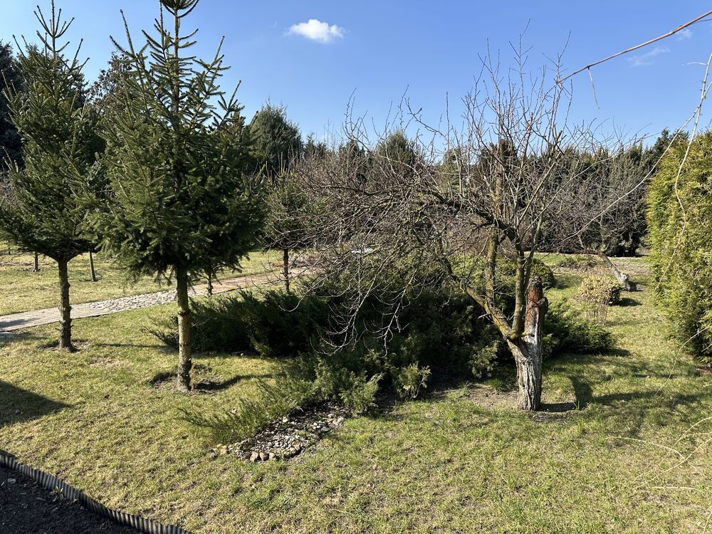 Działka rod Kościan, os. Konstytucji 3 Maja. Zdjęcie 4