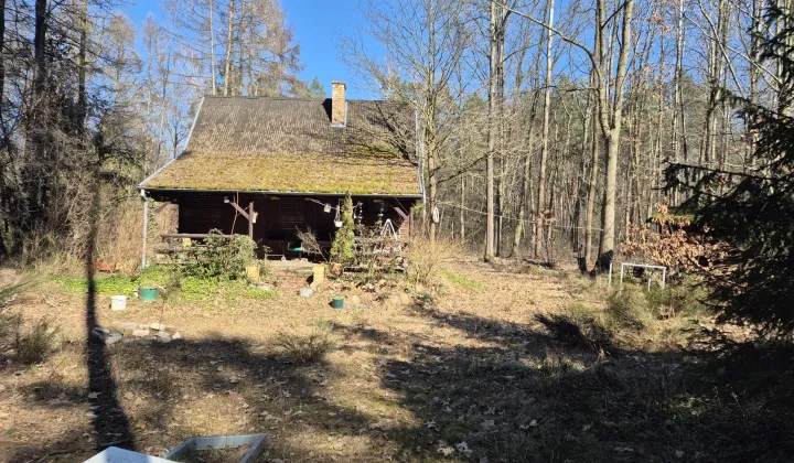 Działka rolno-budowlana Kwiatkowice-Las, Zachodnia