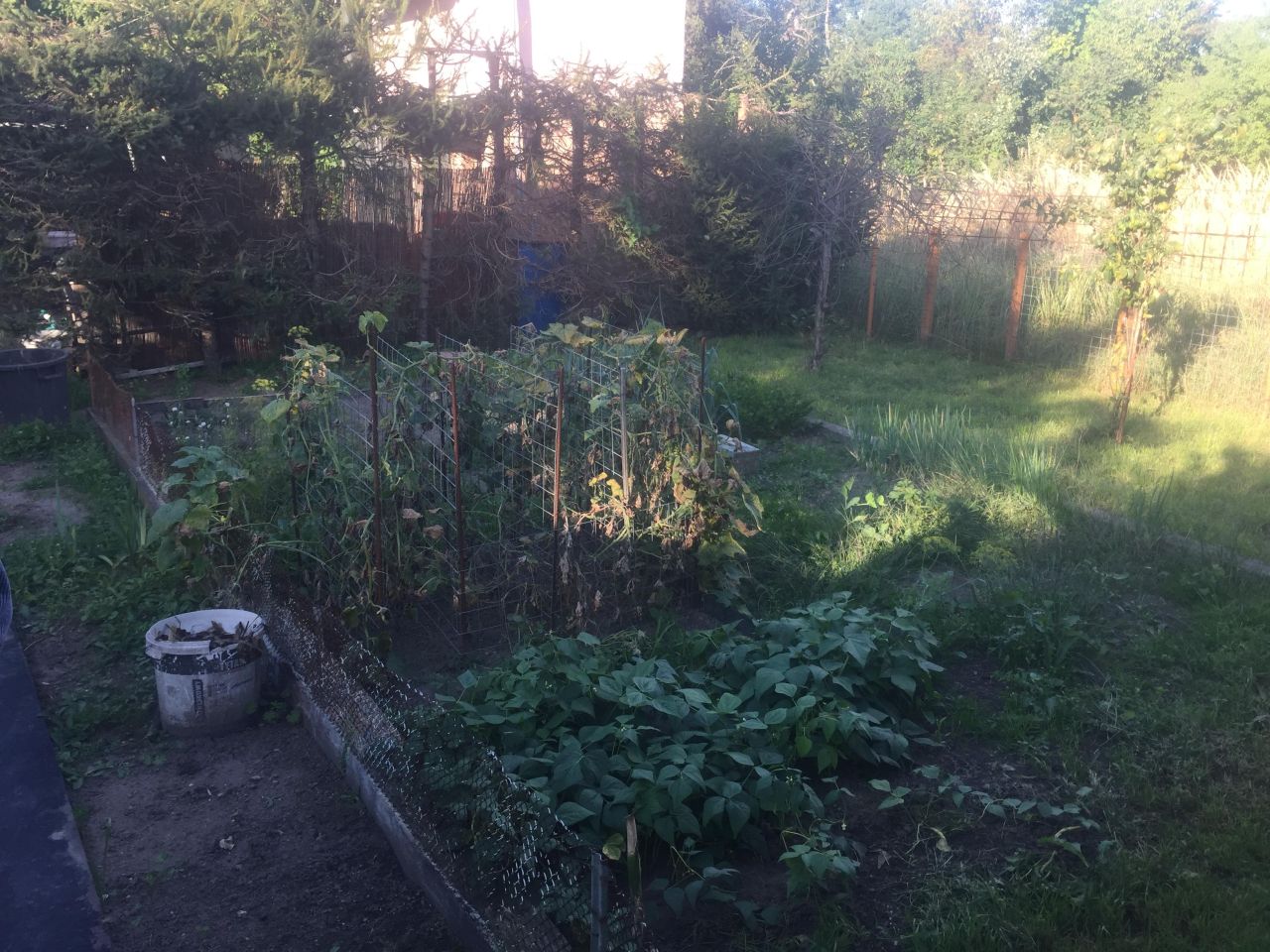 Działka rod Wrocław Osobowice, ul. Krotoszyńska. Zdjęcie 11